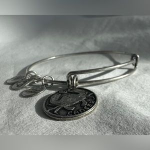 Alex And Ani Cancer Crab Zodiac Charm Energy Bracelet Expandable Crab